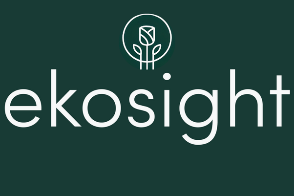 Ekosight logo