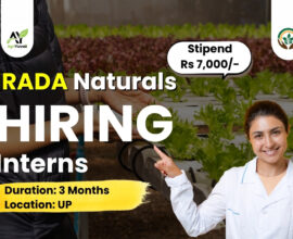 Internship Opportunity After B.Sc Agriculture