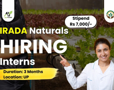 Internship Opportunity After B.Sc Agriculture