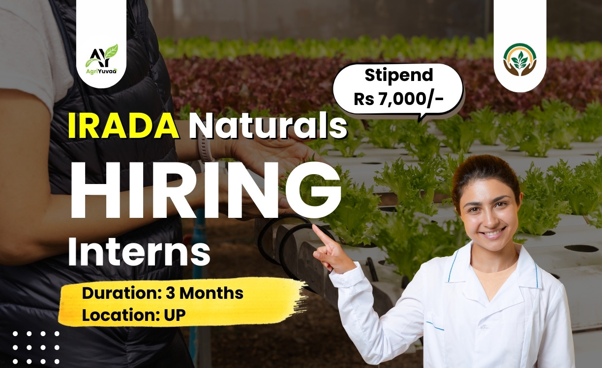 Internship Opportunity After B.Sc Agriculture
