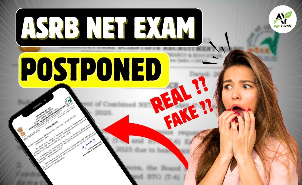 IBPS AFO Admit Card 2025 Released