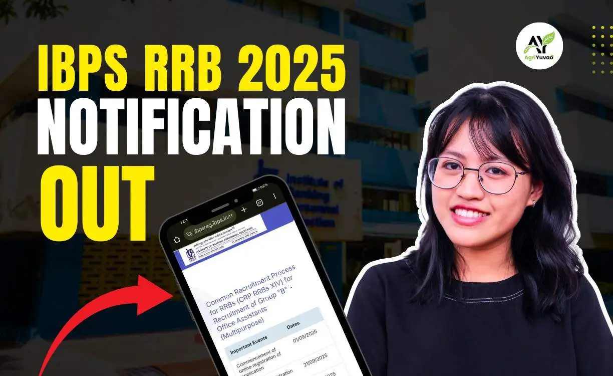 IBPS-RRB-2025-NOTIFICATION-OUT.